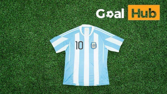 Argentina 2010 Home